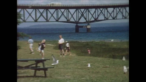 Seagulls Stock Footage 135188879