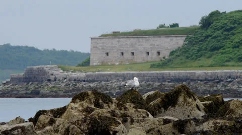 Seagulls by Fort Video stock 25351618