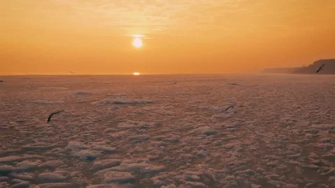 Seagulls hover in the sky over the frozen ocean at sunset. Slow motion.Droneshot Stock Footage 72277096