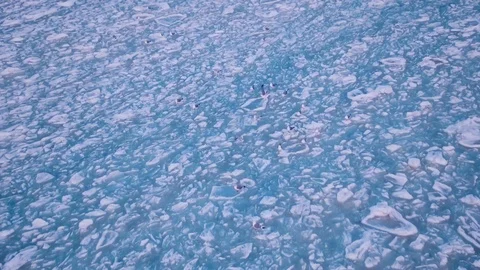 Seagulls hover in the sky over the frozen ocean at sunset. Slow motion.Droneshot Stock Footage 72278268