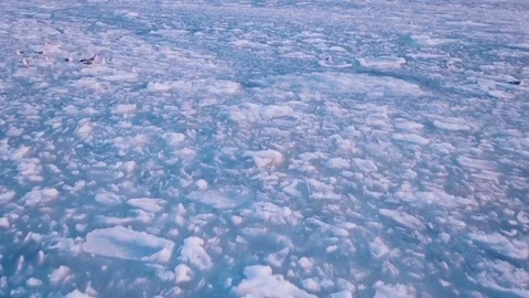 Seagulls hover in the sky over the frozen ocean at sunset. Slow motion.Droneshot Vídeo Stock 72279344