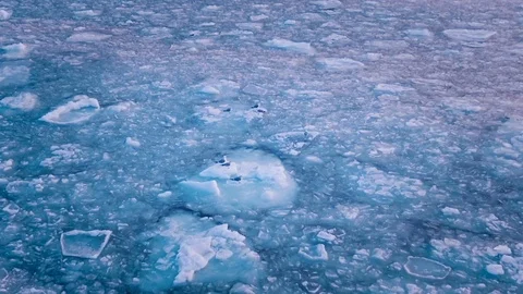 Seagulls hover in the sky over the frozen ocean at sunset. Slow motion.Droneshot Stock Footage 72280909