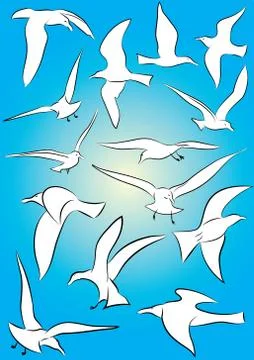 Seagulls 스톡 일러스트