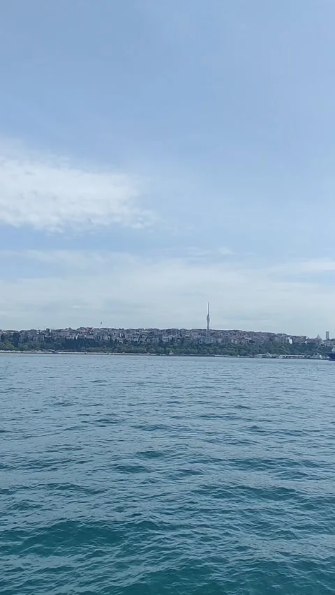Seagulls Istanbul are essential feature city and Bosphorus Strait Stock Footage 342379156