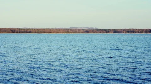 Seagulls on The Lake Stock Footage 104228544
