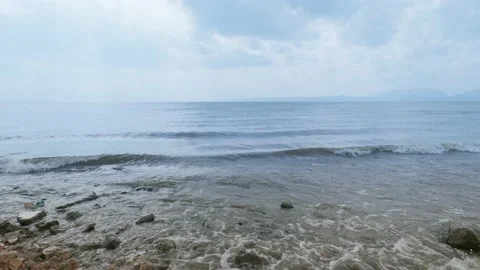 Seagulls in the lake Stock Footage 234068729