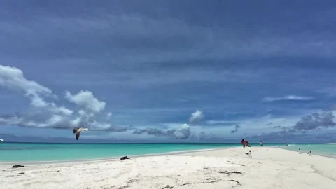 Seagulls landing on a pristine white sandbar in a vibrant tropical paradise Stock Footage 345177973