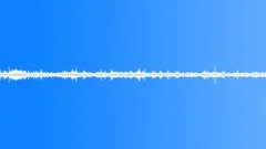 Seagulls with Lapping WavesSound Effect