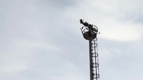 Seagulls on a Light Tower Stock Footage 265584263