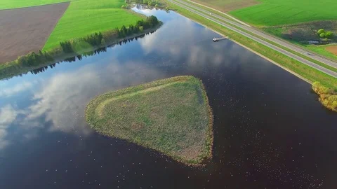 Seagulls nesting in small island of lake in motorway - 004 Stock Footage 72967368