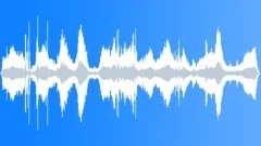 Seagulls Ocean Waves Sound Effect
