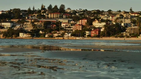 Seagulls over Rose Bay reflections in Sydney slow motion 4K Stock Footage 270339183