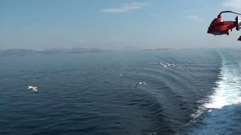 Seagulls over the sea Stock Footage 10724744