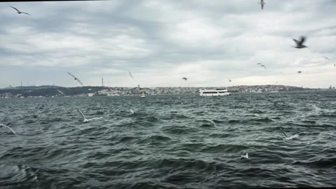 Seagulls over water. Strait of Bosphorus in Istanbul city Stock Footage 150070191