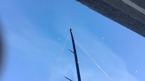 Seagulls overhead Stock Footage 154367464