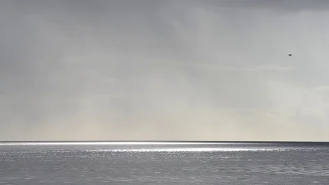 Seagulls pass on the horizon on the sea Stock Footage 83731153