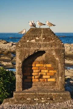 Seagulls perched on a weathered stone structure at Kaikoura during sunset Foto stock