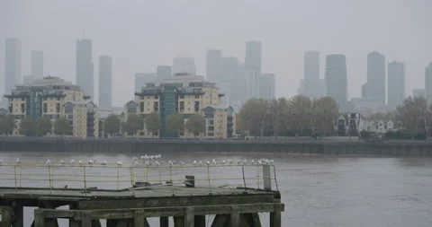 Seagulls on a Pier along the River Thames in London on a Foggy Day Stock Footage 291204004