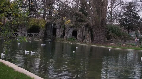 Seagulls in the pond at the foot of the Eiffel Tower in Paris, France Stock Footage 170467371