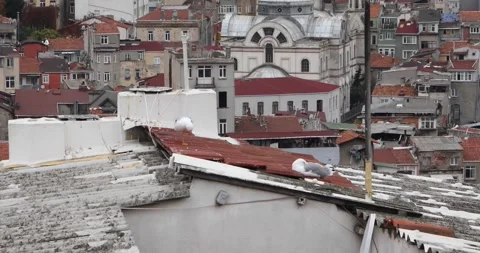 Seagulls on red rooftop above old Istanbul homes and domed church Stock Footage 320171548