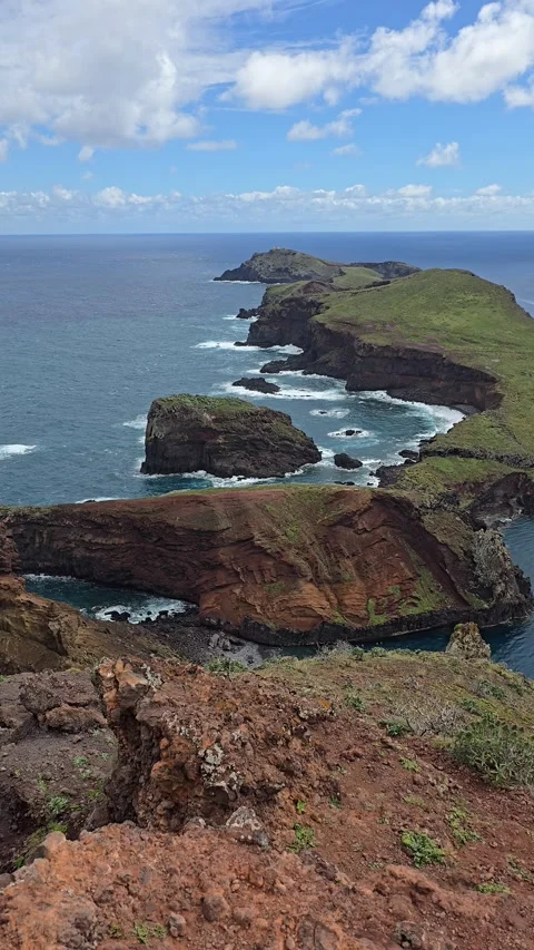 Seagulls rest on the rocky cliffs of Ponta de São Lourenço, Madeira. Stock Footage 310025569