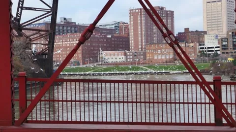 Seagulls by the River Stock Footage 57874704