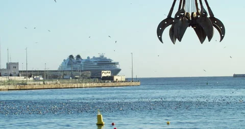Seagulls on the river Video stock 192273915