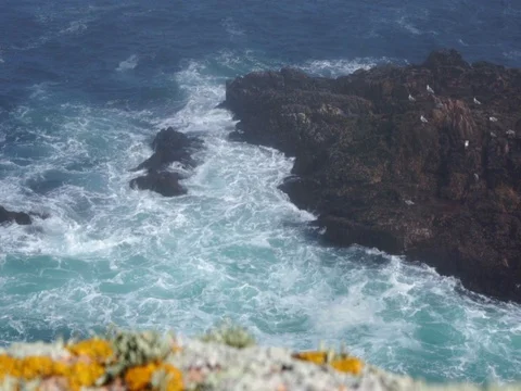 Seagulls at the rocks of A Coruna. Stock Footage 101613845