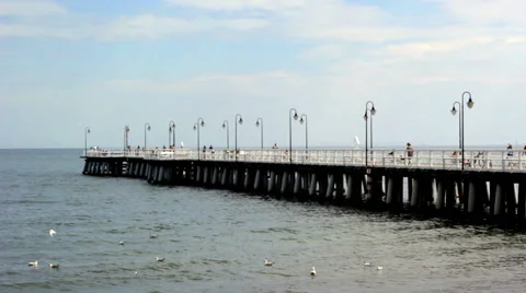 Seagulls in the sea on the background of the pier Stock Footage 43453237