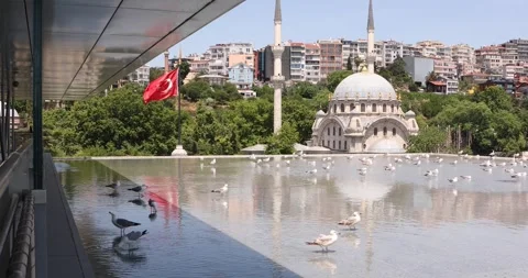 Seagulls on shallow rooftop pool, Turkish flag and mosque in Istanbul. Stock Footage 320028150