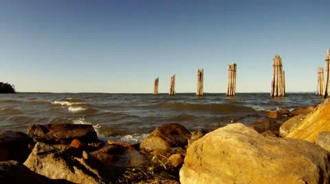 Seagulls at Shore Stock Footage 23829357