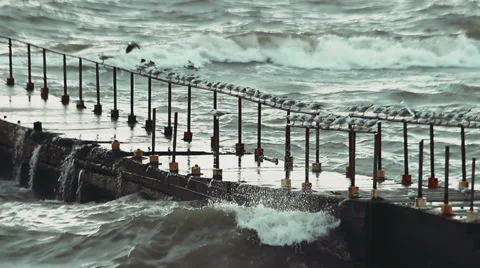 Seagulls sitting on the railing of the old pier during a storm at sea Stock Footage 61073541