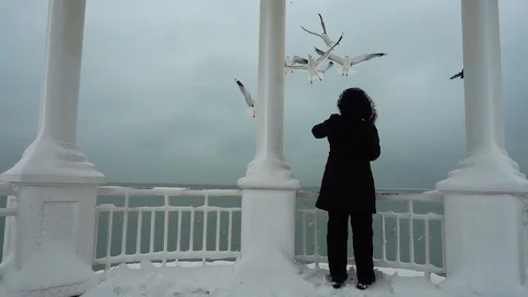 Seagulls in the sky opposite to an arbor. Shooting in the winter. Slow motion. Stock Footage 100895864