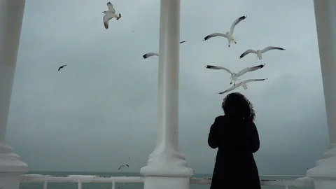 	Seagulls in the sky opposite to an arbor. Shooting in the winter. Slow motion. Stock Footage 100896007