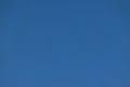 Seagulls Slow Motion 08 High Speed 240fps Footage