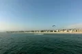 Seagulls Slow Motion 29 Venice Beach High Speed 240fps Footage
