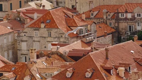Seagulls soar over the iconic rooftops of Dubrovnik during a sunny day Stock Footage 313731387