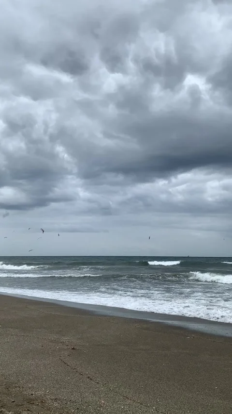 Seagulls soaring in the cloudy sky over the rough sea on a stormy day Stock Footage 303473550