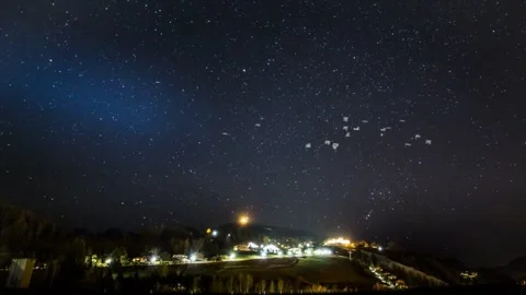 Seagulls Soaring Through Starry Night Sky Stock Footage 325329426