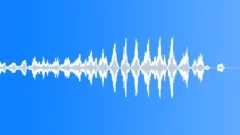 SeagullsSound Effect
