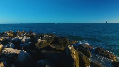 Seagulls squawk and fly on a jetty while in Key West, FL. All captured in Video stock 106066802