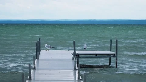 Seagulls standing on a white dock over a lake  Vídeos de archivo 315168650