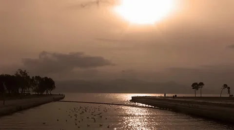 Seagulls &amp; Sun Reflection on the Sea Stock Footage 34355097