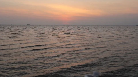 Seagulls at sunset. Stock Footage 97376359