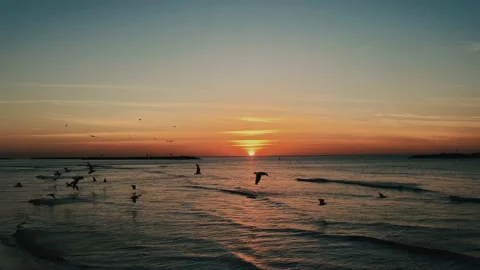 Seagulls at sunset sea Stock-Footage 150382889