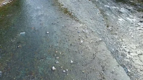 Seagulls taking flight over a river Stock Footage 87438104