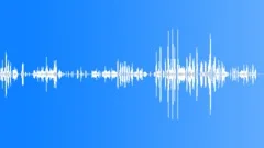 Seagulls TalkingSound Effect