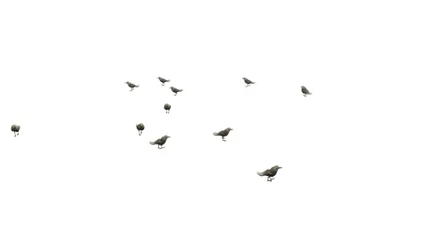 SEAGULLS WALKING VIEW C Vídeos de archivo 101832926