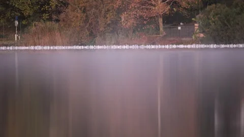 Seagulls on the water Stock Footage 294025134