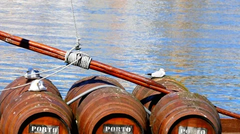 Seagulls on the wine barrels Stock Footage 55410430